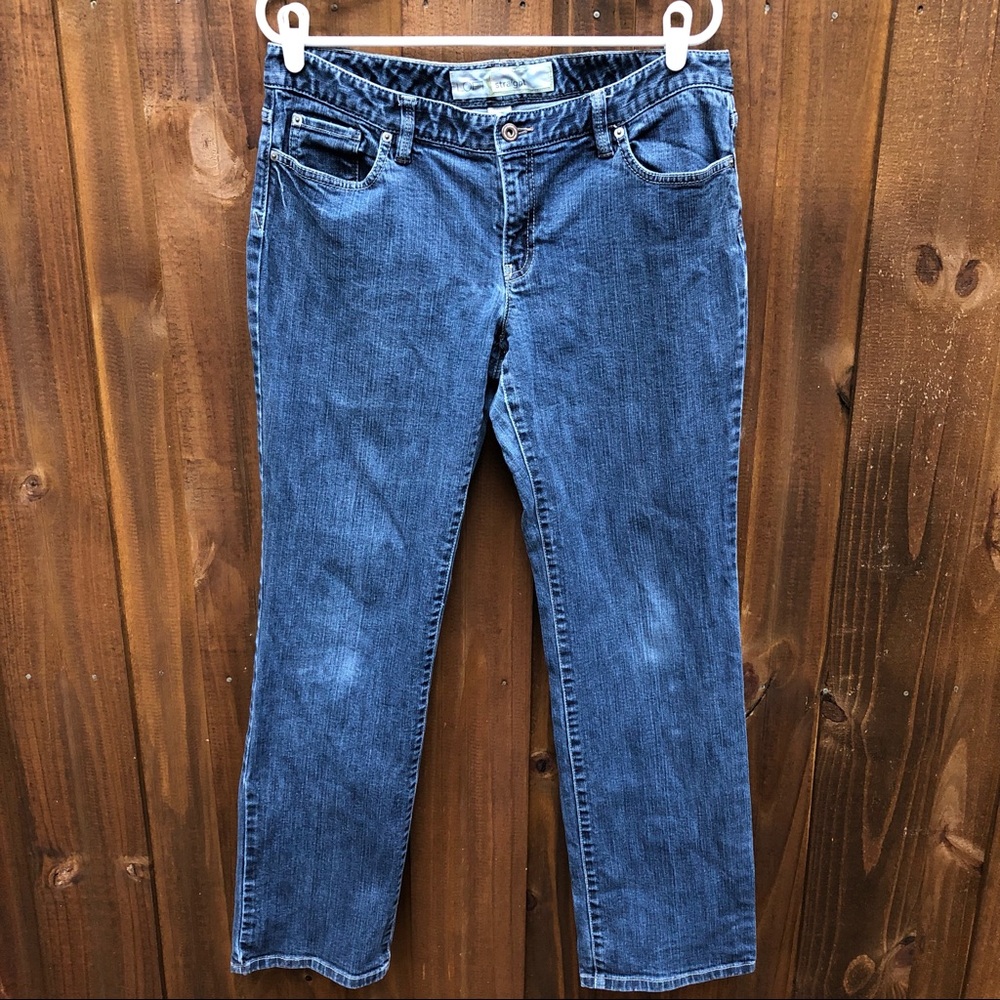 Ann Taylor LOFT Blue Denim Jeans Straight Leg 10